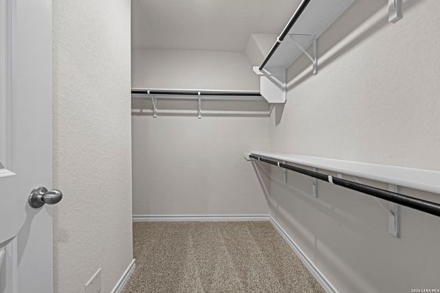 217 Squacco Heron, San Antonio, TX 78253