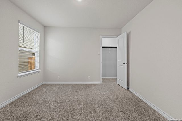 217 Squacco Heron, San Antonio, TX 78253