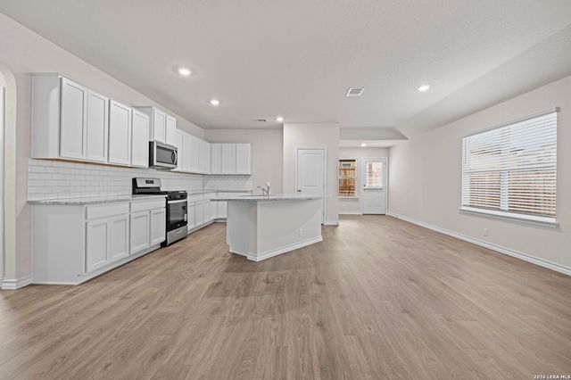 217 Squacco Heron, San Antonio, TX 78253