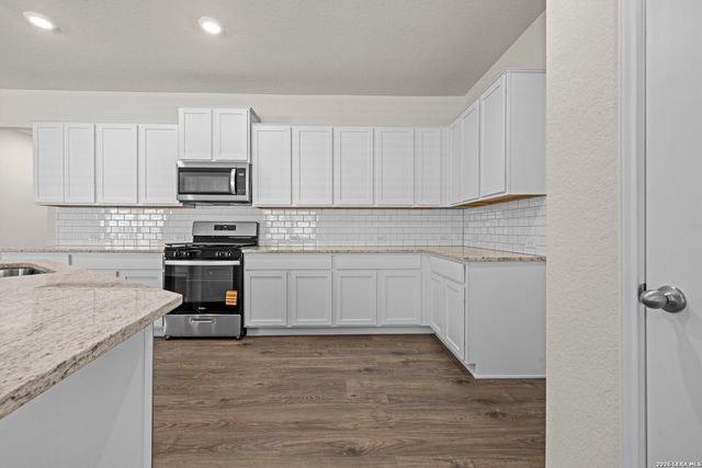 217 Squacco Heron, San Antonio, TX 78253