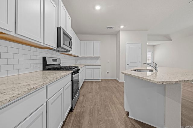 217 Squacco Heron, San Antonio, TX 78253