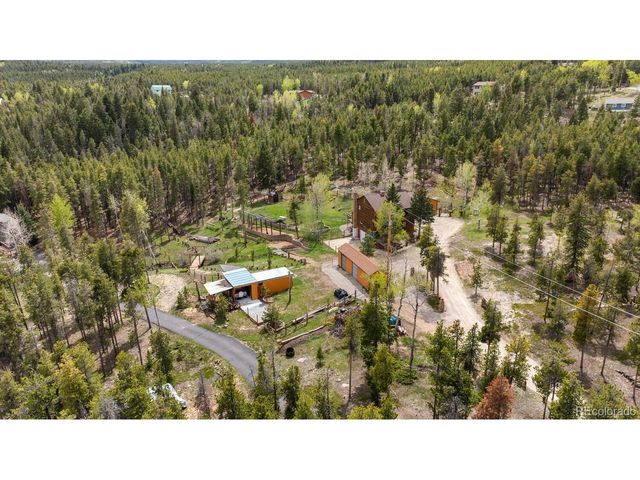 8600 S Warhawk Rd, Conifer, CO 80433