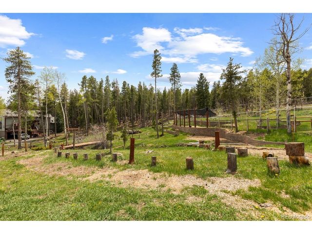 8600 S Warhawk Rd, Conifer, CO 80433