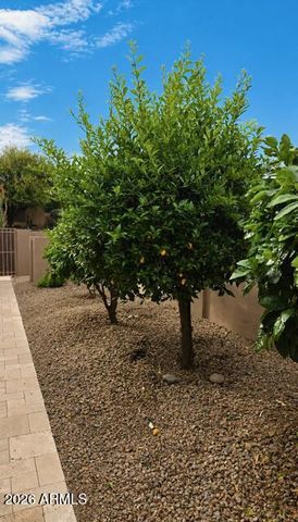 24764 N 117th Street, Scottsdale, AZ 85255