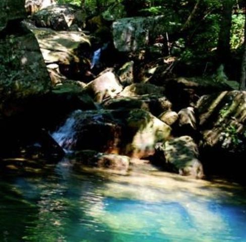 361 Hawkins Rd, Westmoreland, TN 37186