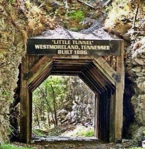 361 Hawkins Rd, Westmoreland, TN 37186