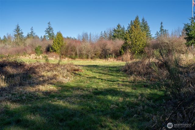 14647 Case Road SW, Rochester, WA 98579