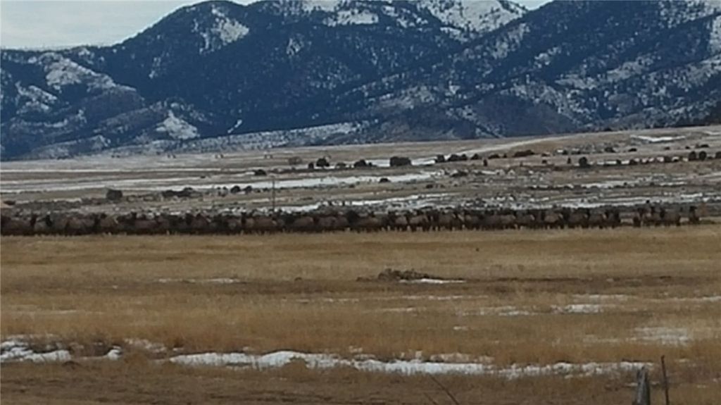 2584 Highway 284, Other, MT 59644 photo 2