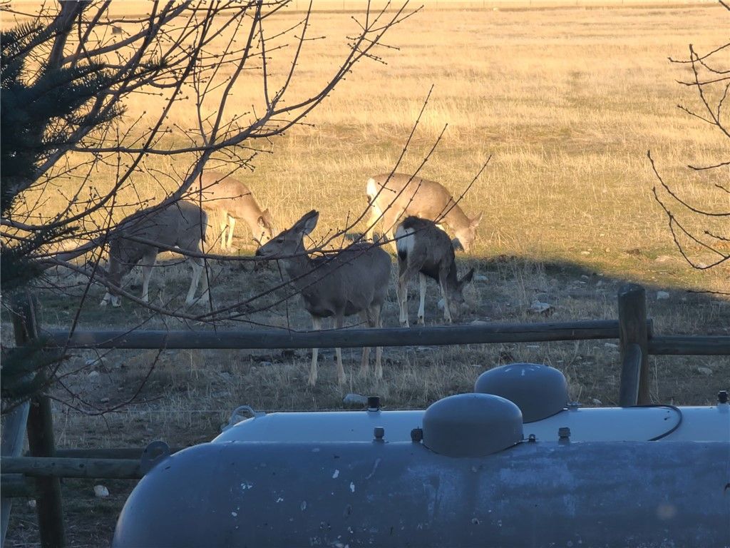 2584 Highway 284, Other, MT 59644 photo 27