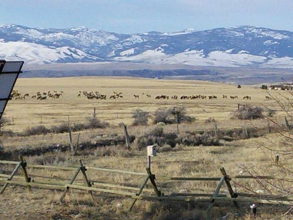 2584 Highway 284, Other, MT 59644 photo 3