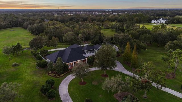 11441 HAMMOCK OAKS COURT, Lithia, FL 33547