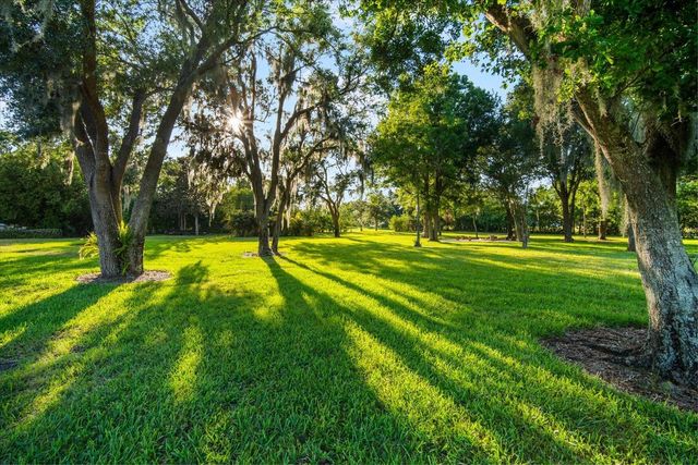 11441 HAMMOCK OAKS COURT, Lithia, FL 33547