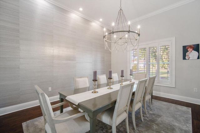 11441 HAMMOCK OAKS COURT, Lithia, FL 33547