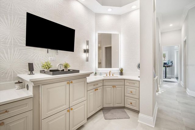 11441 HAMMOCK OAKS COURT, Lithia, FL 33547