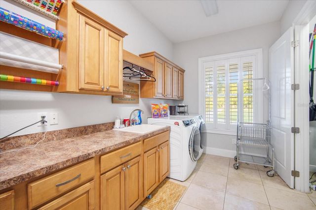 11441 HAMMOCK OAKS COURT, Lithia, FL 33547