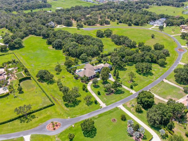 11441 HAMMOCK OAKS COURT, Lithia, FL 33547