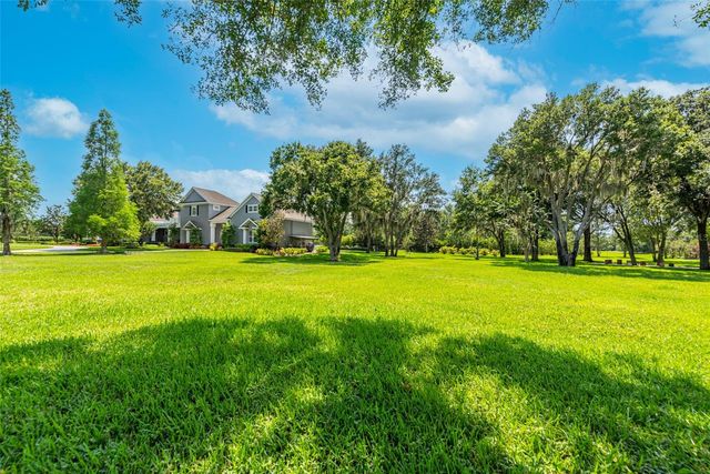 11441 HAMMOCK OAKS COURT, Lithia, FL 33547