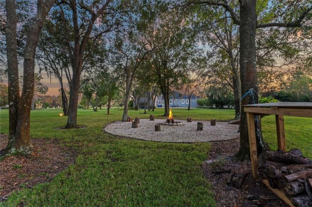 11441 HAMMOCK OAKS COURT, Lithia, FL 33547
