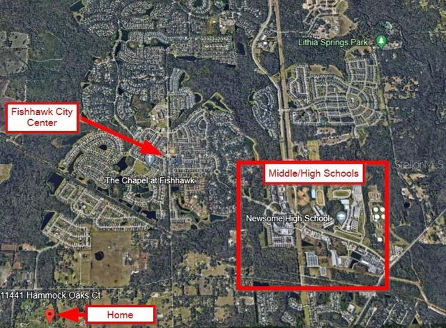 11441 HAMMOCK OAKS COURT, Lithia, FL 33547