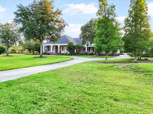 11441 HAMMOCK OAKS COURT, Lithia, FL 33547