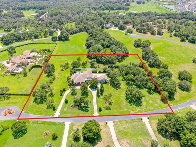 11441 HAMMOCK OAKS COURT, Lithia, FL 33547