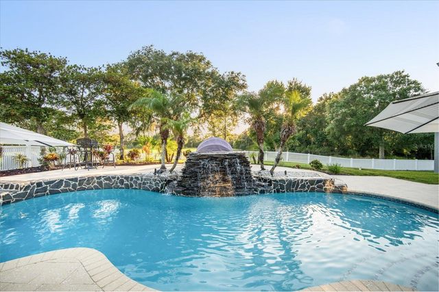 11441 HAMMOCK OAKS COURT, Lithia, FL 33547