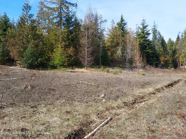 2244 N Whittum RD, Priest River, ID 83856
