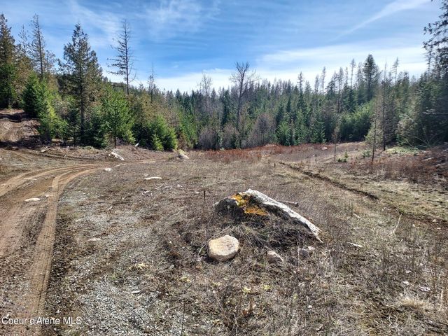2244 N Whittum RD, Priest River, ID 83856