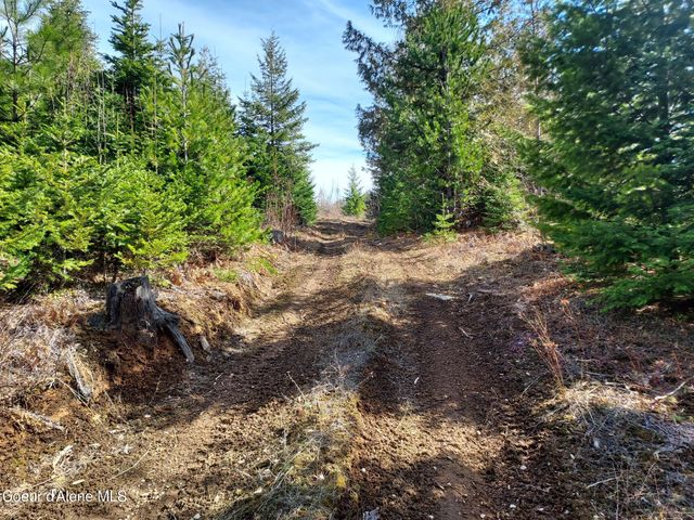 2244 N Whittum RD, Priest River, ID 83856