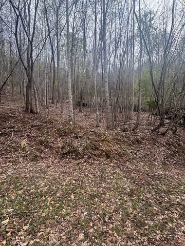 Lot 4 Buck Ridge Drive, Murphy, NC 28906