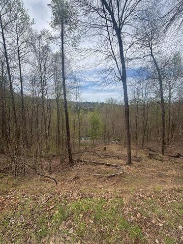 Lot 4 Buck Ridge Drive, Murphy, NC 28906