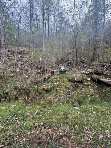 Lot 4 Buck Ridge Drive, Murphy, NC 28906