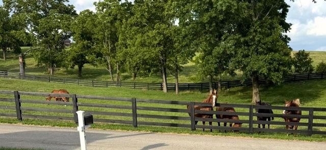 1059 MacLand Road, Lawrenceburg, KY 40342