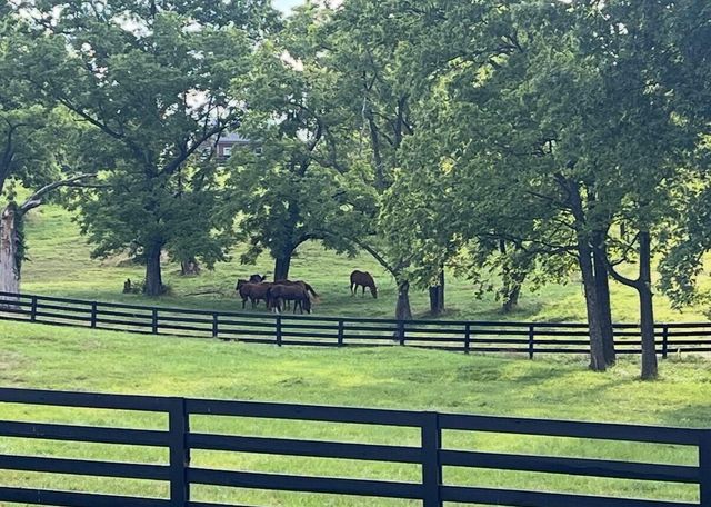 1059 MacLand Road, Lawrenceburg, KY 40342