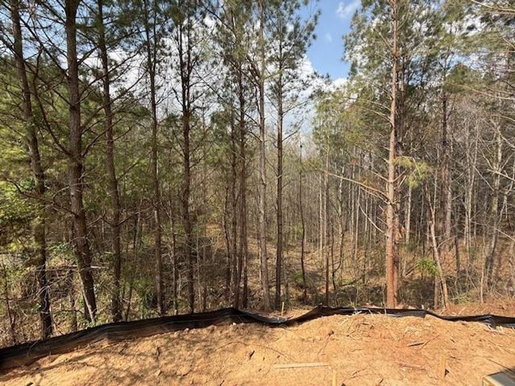 Image 8 of property listing at 161 Ambrose Drive, Jasper, GA 30143