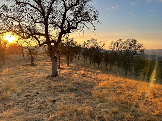 0 207 Road, Coarsegold, CA 93614