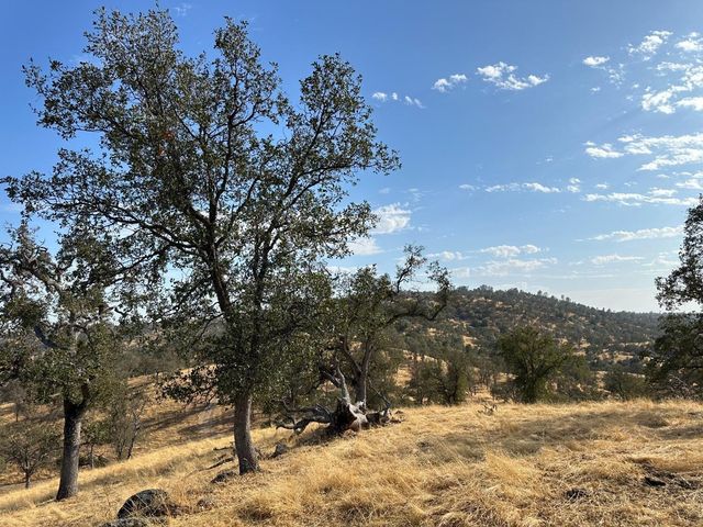 0 207 Road, Coarsegold, CA 93614