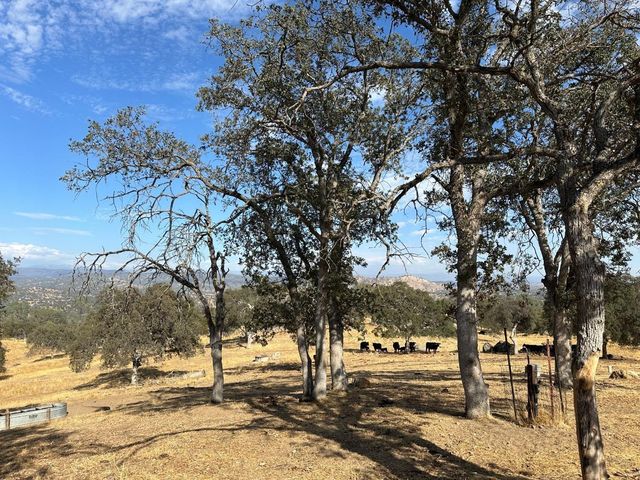 0 207 Road, Coarsegold, CA 93614