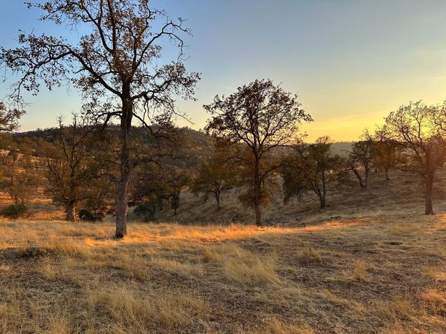 0 207 Road, Coarsegold, CA 93614