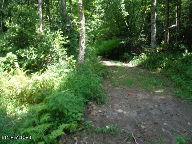Ditney Trail Tr 2, Pioneer, TN 37847