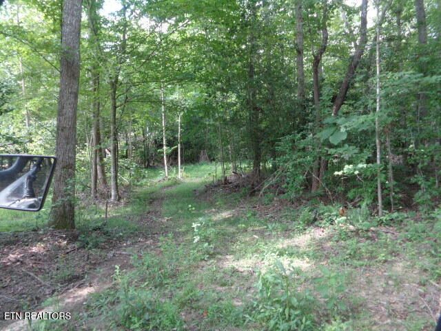 Ditney Trail Tr 2, Pioneer, TN 37847
