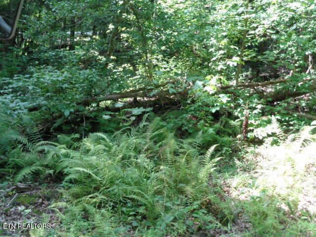 Ditney Trail Tr 2, Pioneer, TN 37847
