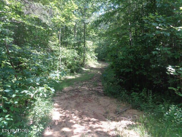 Ditney Trail Tr 2, Pioneer, TN 37847