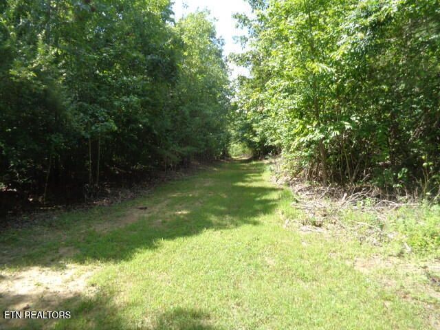 Ditney Trail Tr 2, Pioneer, TN 37847