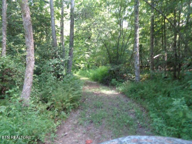 Ditney Trail Tr 2, Pioneer, TN 37847