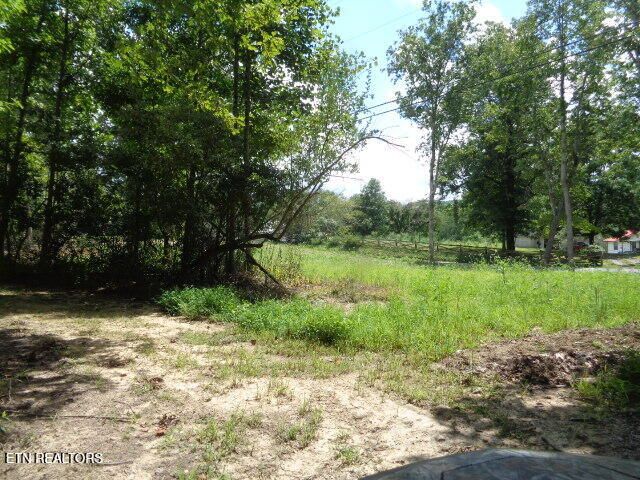 Ditney Trail Tr 2, Pioneer, TN 37847