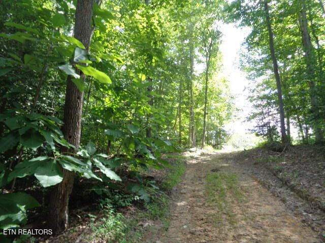 Ditney Trail Tr 2, Pioneer, TN 37847