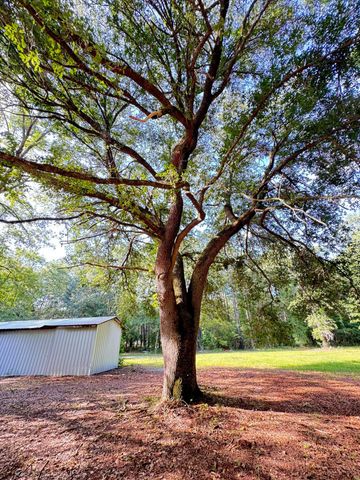 3486 Rehoboth Road, Cottageville, SC 29435