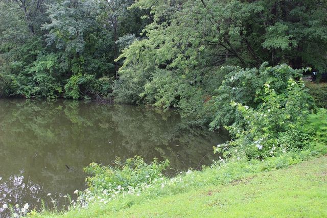 34 Sylvanus Wood Lane, Woburn, MA 01801