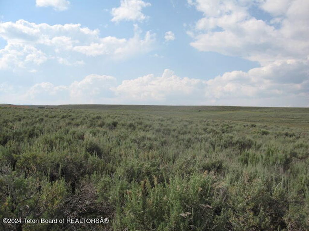 OLD BRAZZILL, Pinedale, WY 82941 photo 2